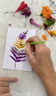 Natural Dyeing & Botanical Art Workshop Natural Dyeing & Botanical Art Workshop