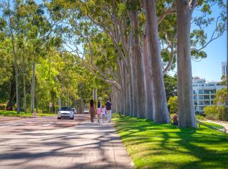 A family walking down Fraser Avenue.