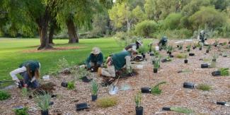 Greening Your Thumb