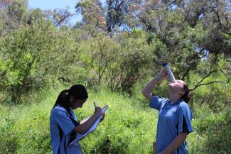 Land Cover Change and Biodiversity Loss