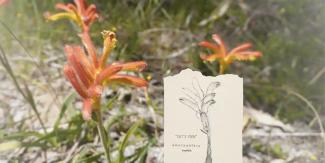 Nature Journalling Nature Journalling