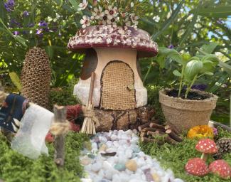 Fairy gardens Fairy gardens