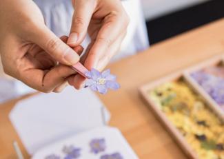 Flower Pressing