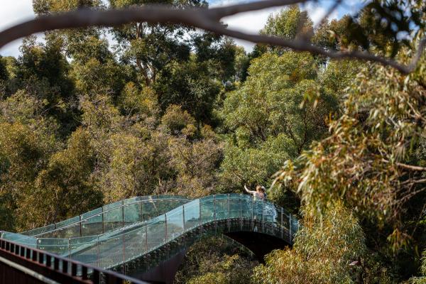 Elevated glass bridge as part of Federation walkway