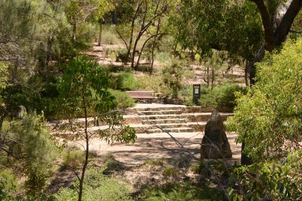 Beedawong Meeting Place is a stone amphitheatre set in the WA Botanic Garden.