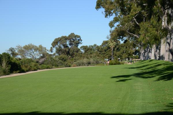 Rifle Range Lawn North Rifle Range Lawn North is a large lawn area on Fraser Ave overlooking Perth city.