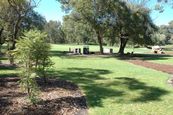 Wollemi Pine Lawn is right next to Arthur Fairall playground.