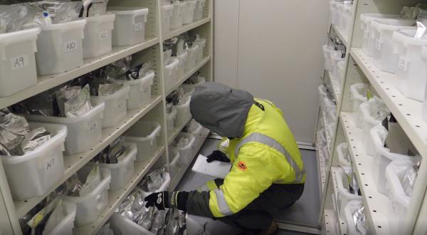 Scientist looking for seed in the seedbank freezer.