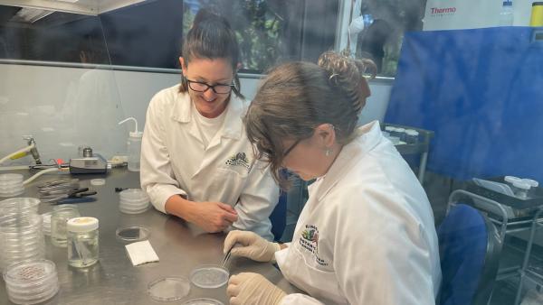 Supervisor, Emma Dalziell, and student, Rebecca Jonas complete lab work.