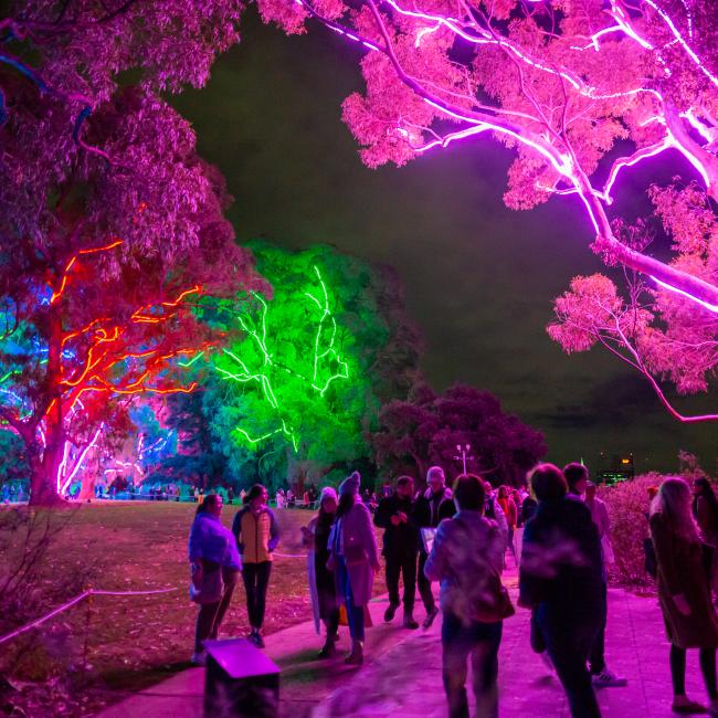 Crowd walking beneath Neon Trees at Lightscape.