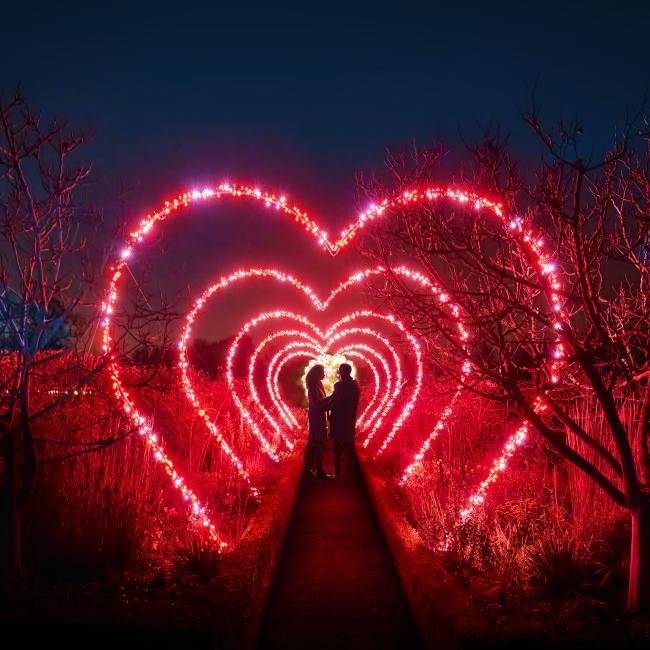 A couple standing under glowing heart arches.