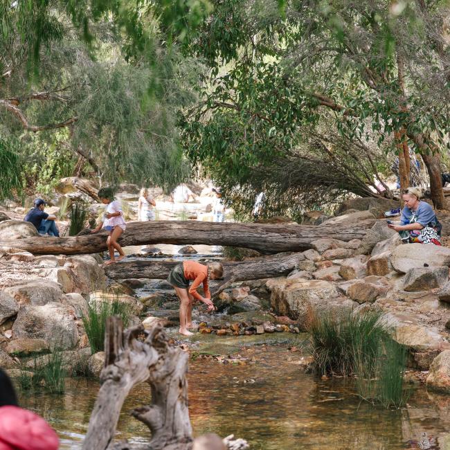Nature Play Matt Biocich
