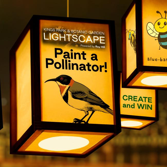 Lightscape_Pollinators