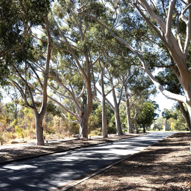 Lovekin Drive